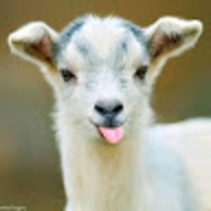 Meet your Posher, Becca